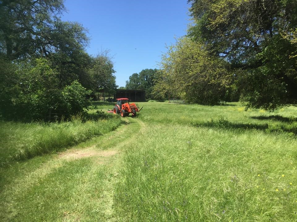 9051 Fm 205 Bluff Dale TX 76433
