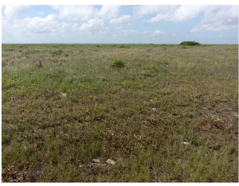 Tbd County Road 257 Freeport TX 77541