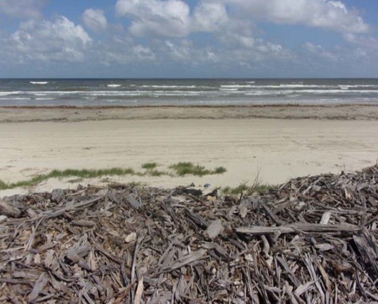 Tbd County Road 257 Freeport TX 77541