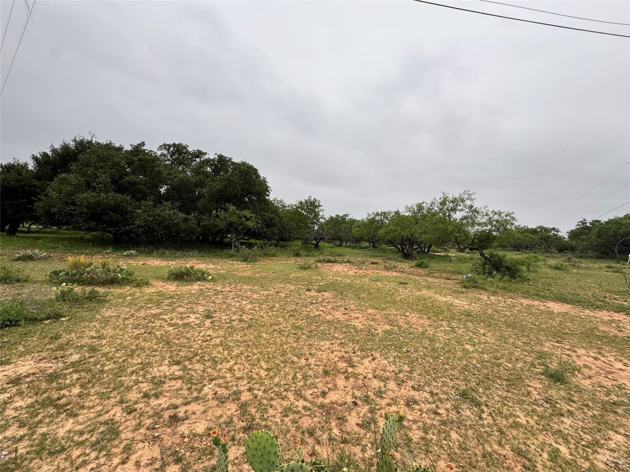 Tbd Early Boulevard Early TX 76802