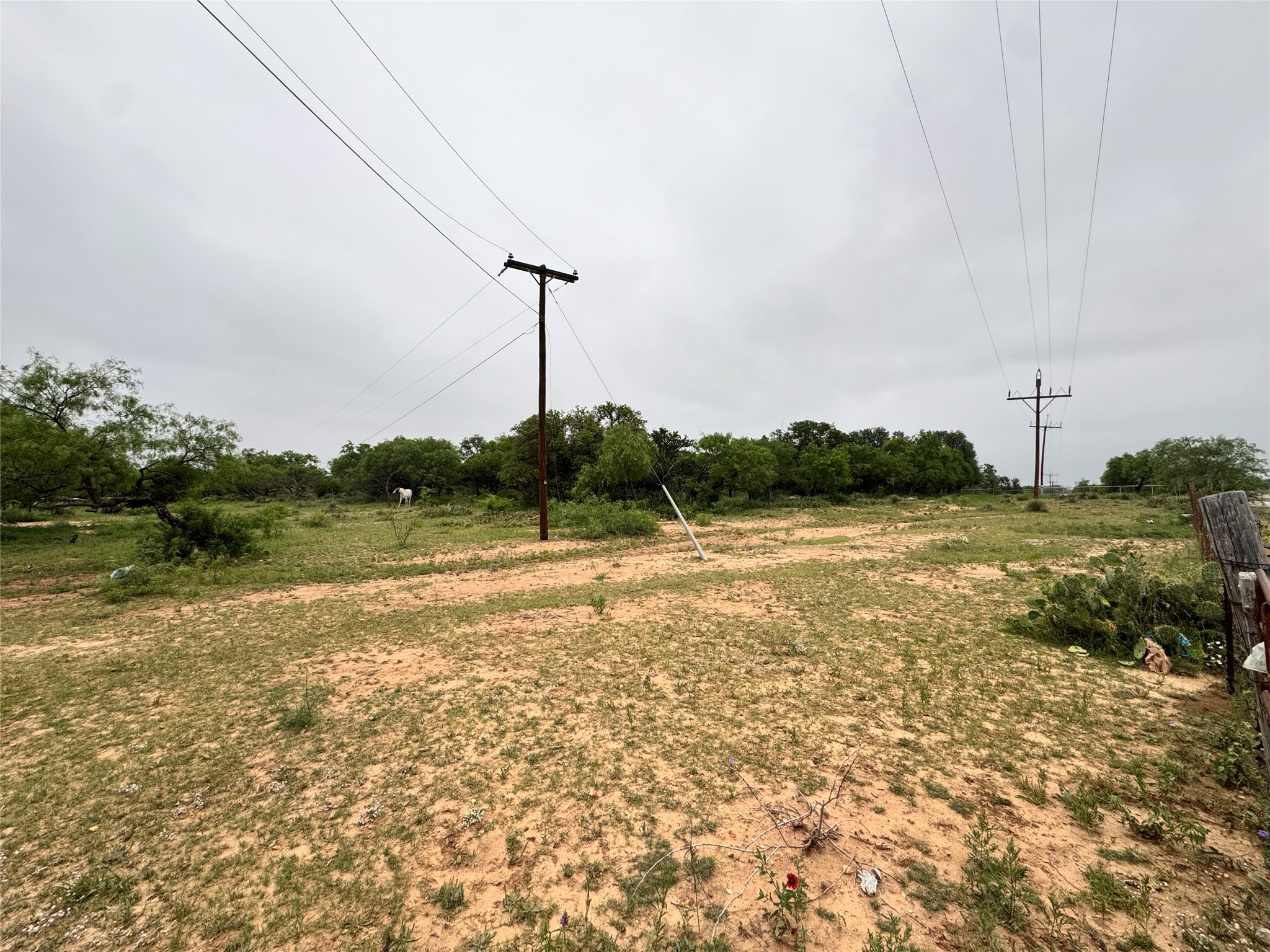 Tbd Early Boulevard Early TX 76802