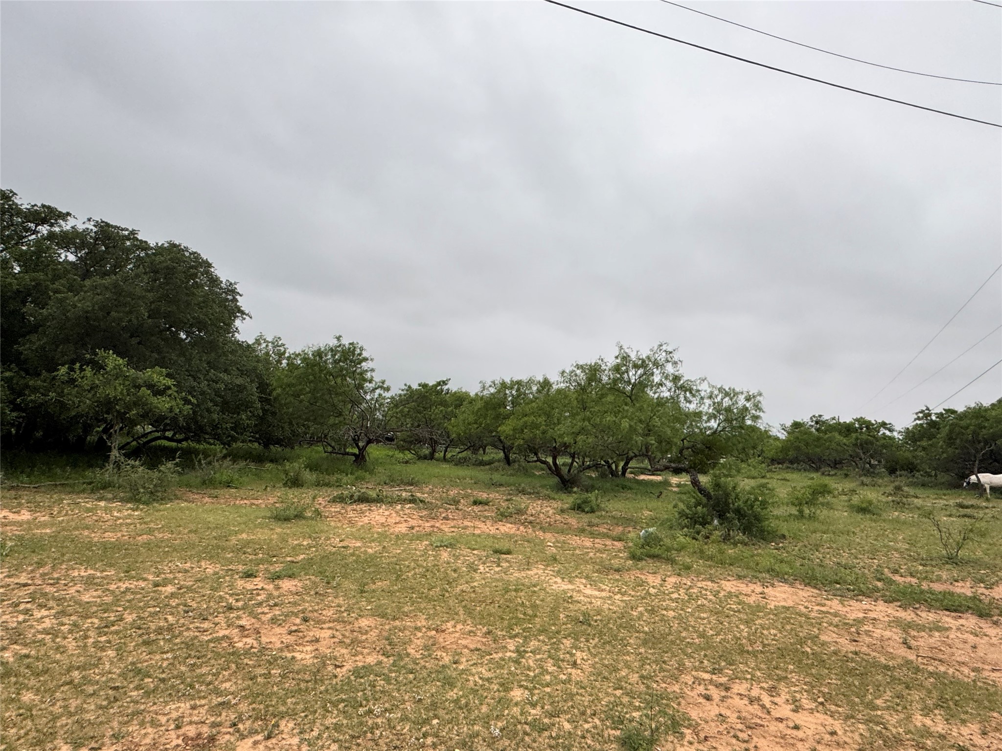 Tbd Early Boulevard Early TX 76802