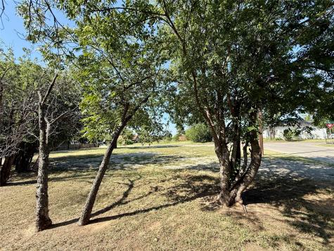 1001 A Vine Brownwood TX 76801