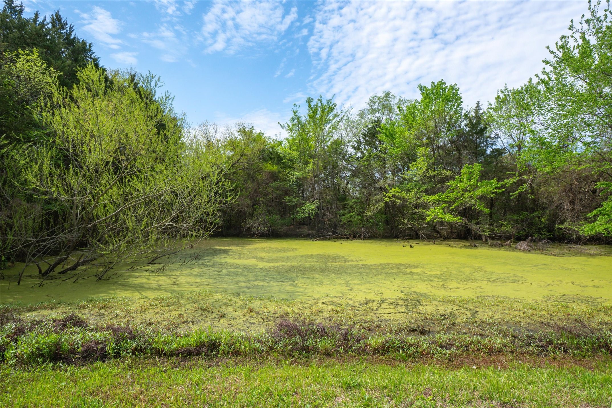 29957 State Highway 64 Canton TX 75103
