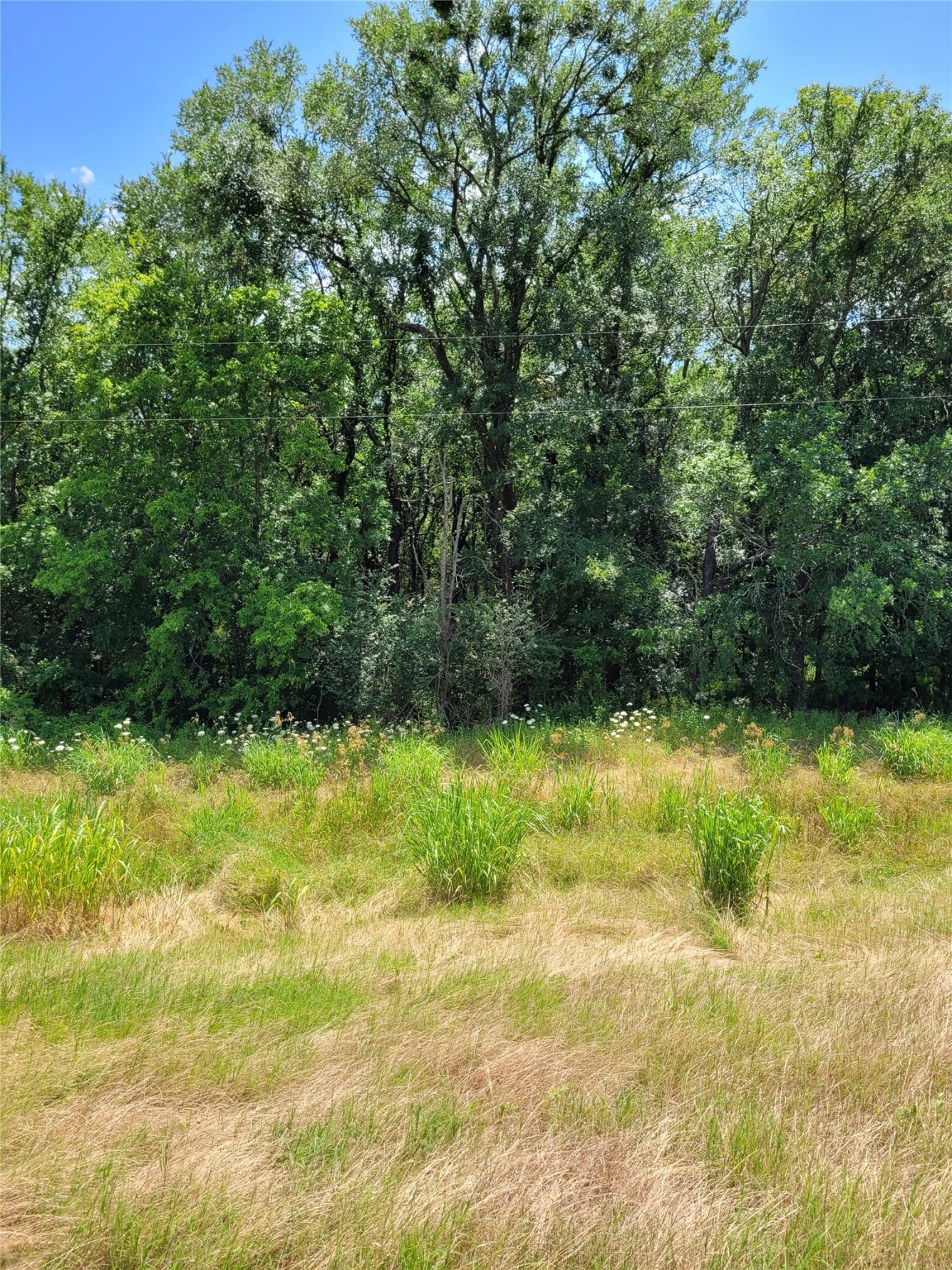1175 SW Loop 286 Paris TX 75460