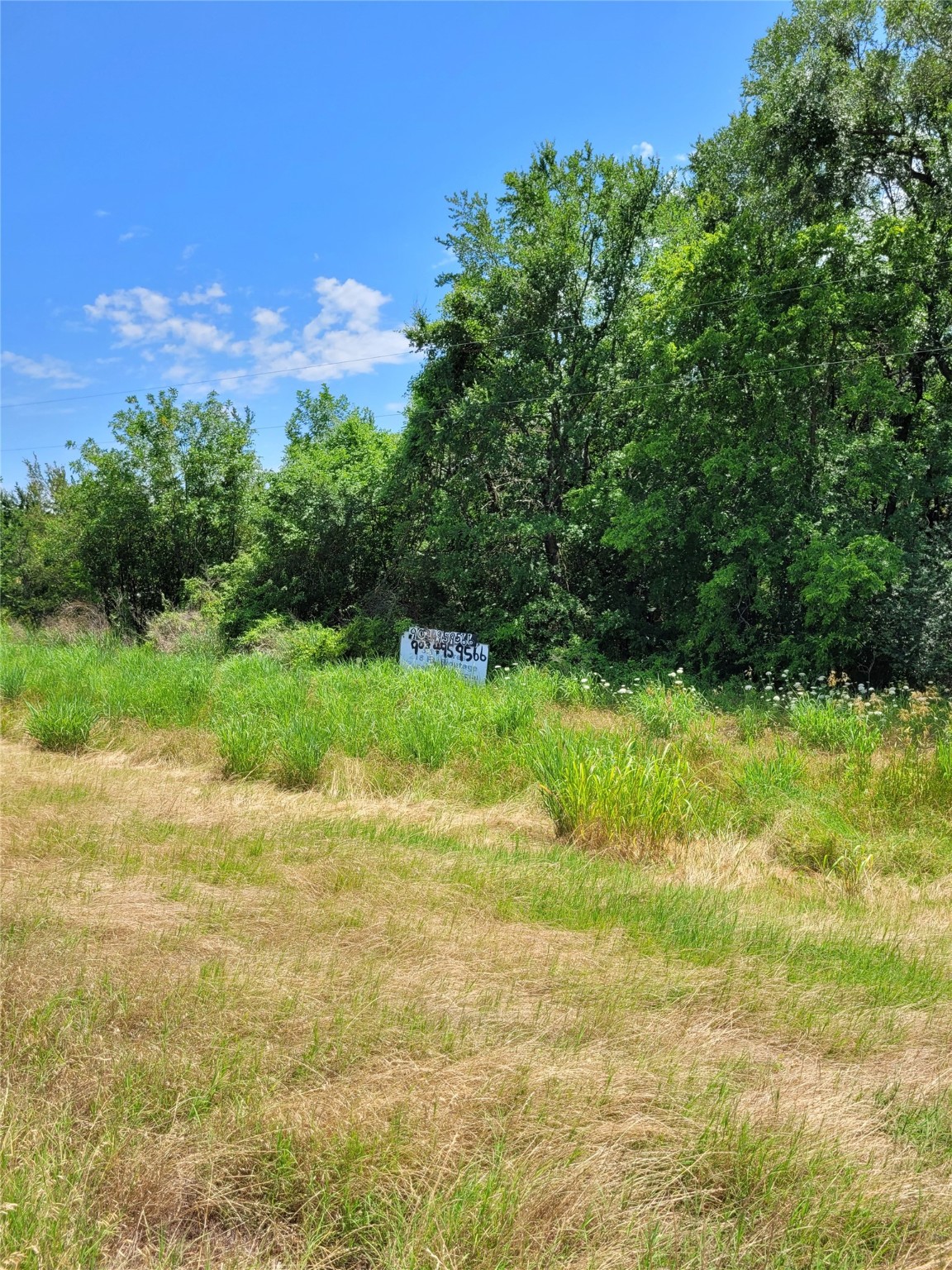 1175 SW Loop 286 Paris TX 75460