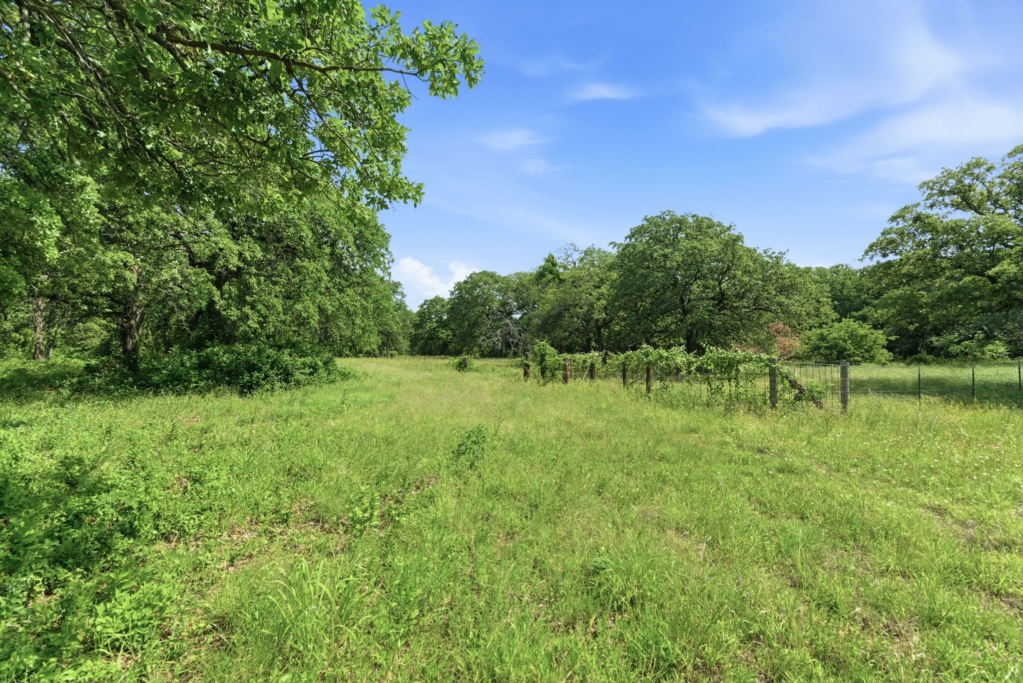 3523 E Highway 199 Springtown TX 76082
