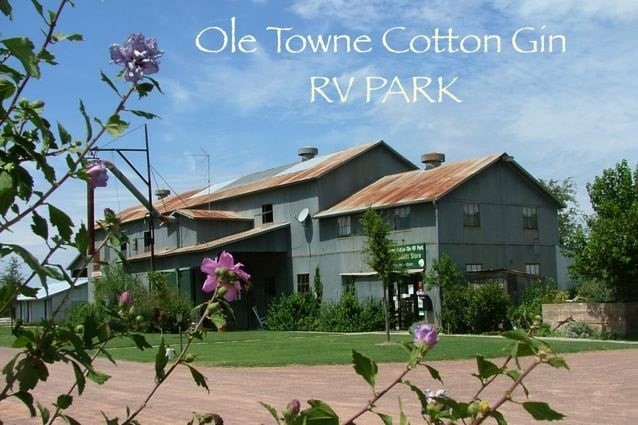 230 Market Street Quanah TX 79252
