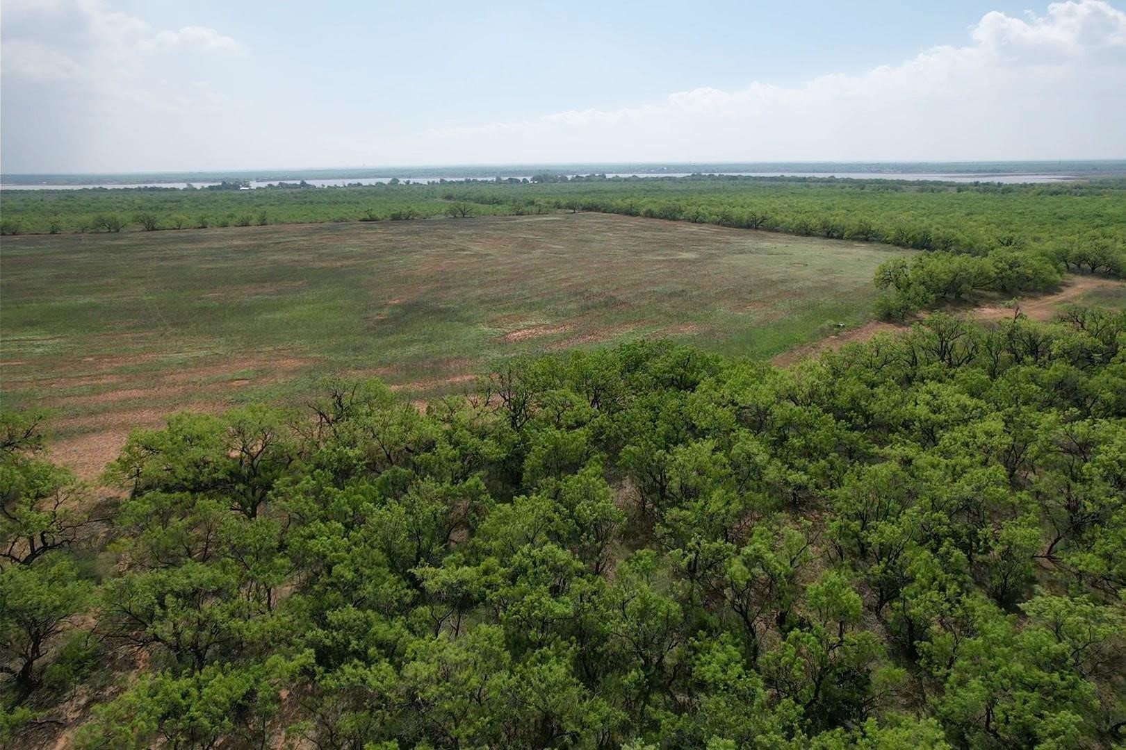 Lot 1 W Lake Road Hawley TX 79601
