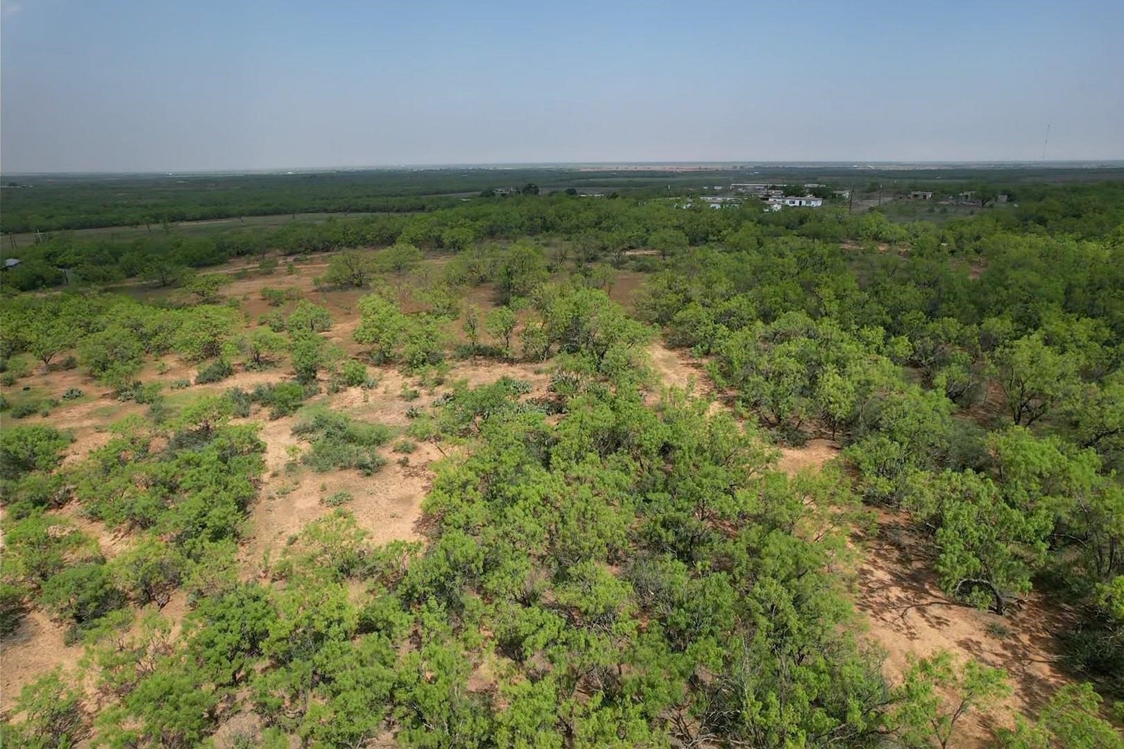 Lot 1 W Lake Road Hawley TX 79601