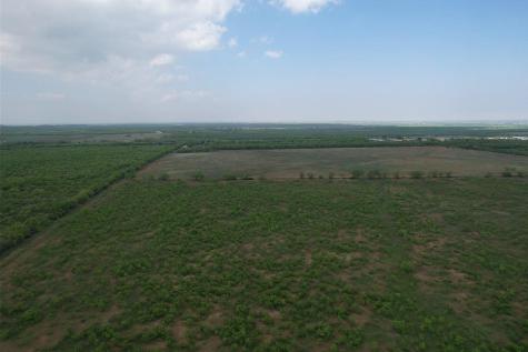 Lot 1 W Lake Road Hawley TX 79601