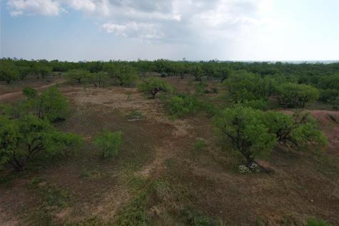 Lot 1 W Lake Road Hawley TX 79601