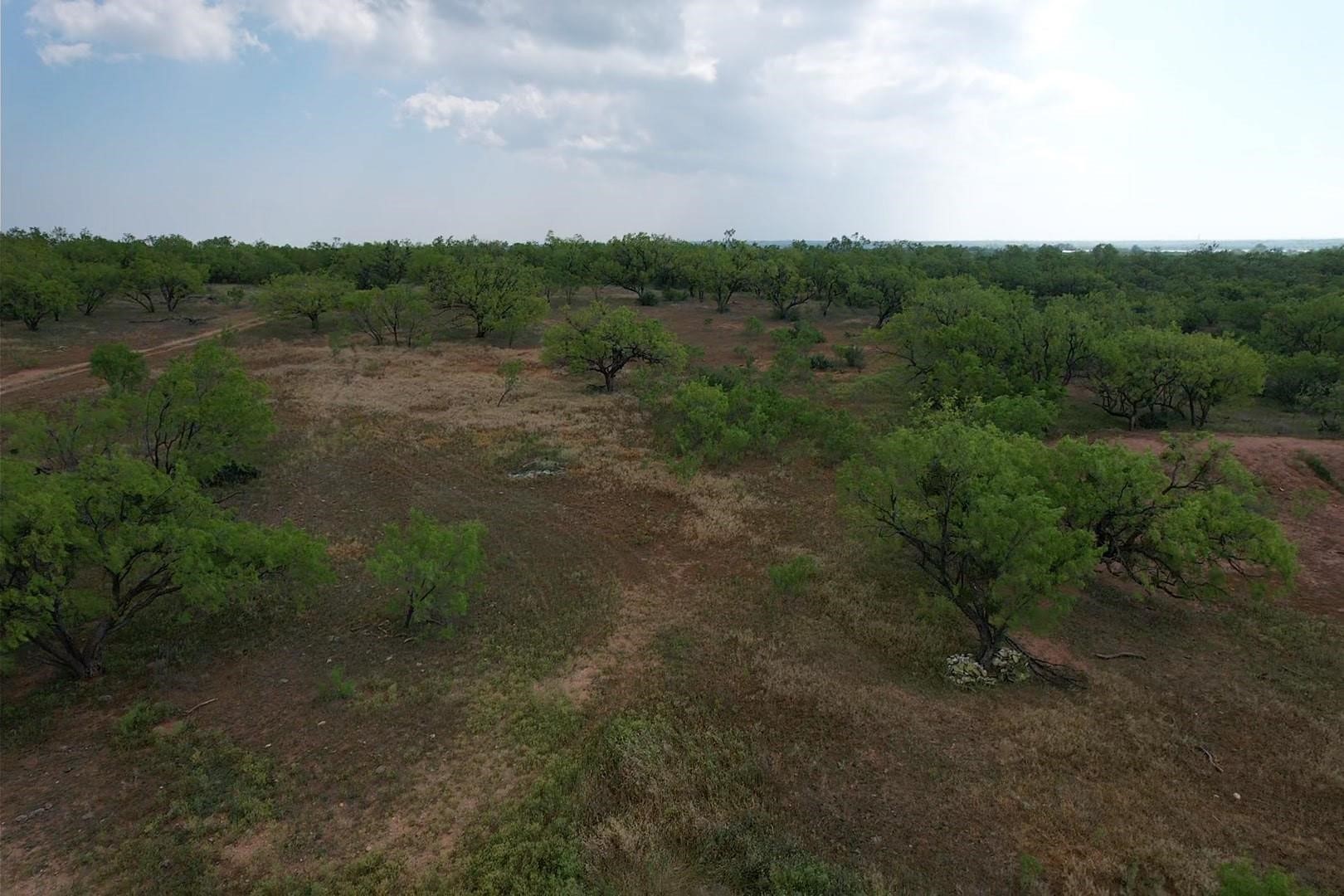 Lot 1 W Lake Road Hawley TX 79601