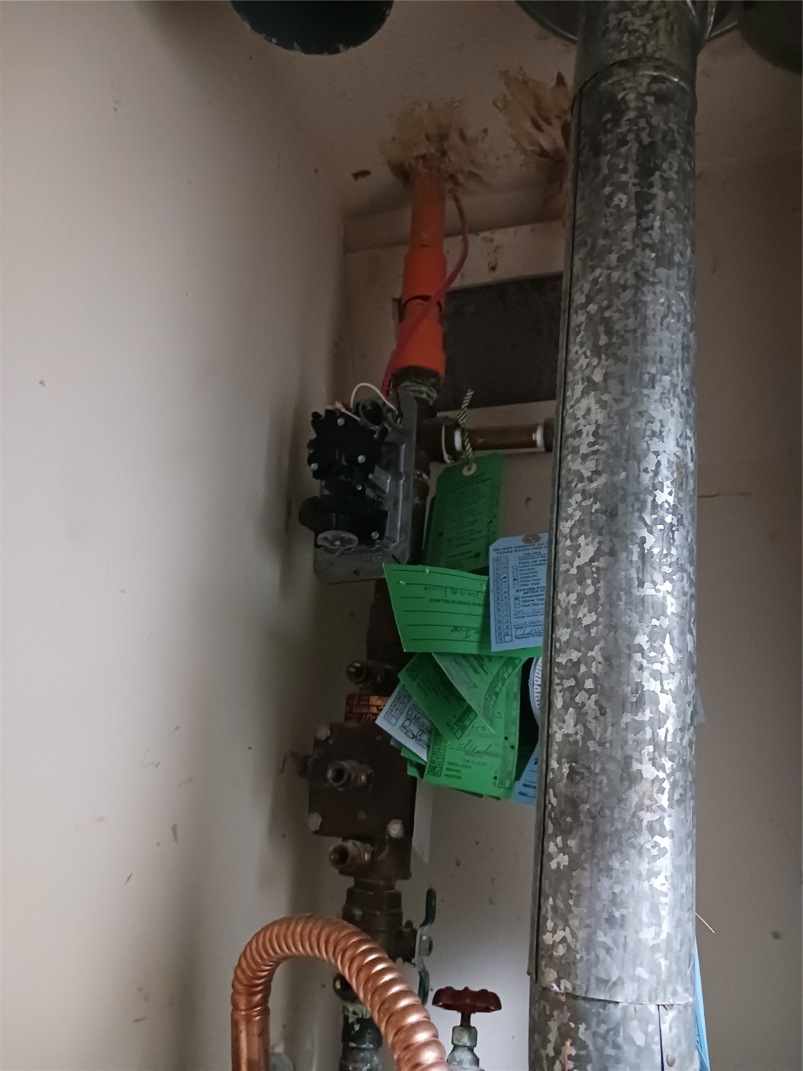 2206 Blue Cypress Drive Richardson TX 75082