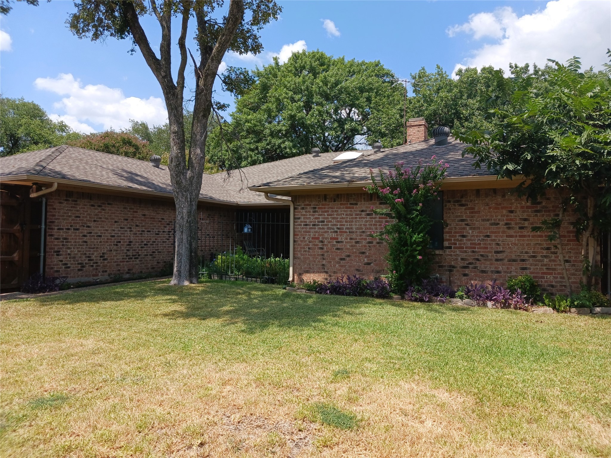 2206 Blue Cypress Drive Richardson TX 75082