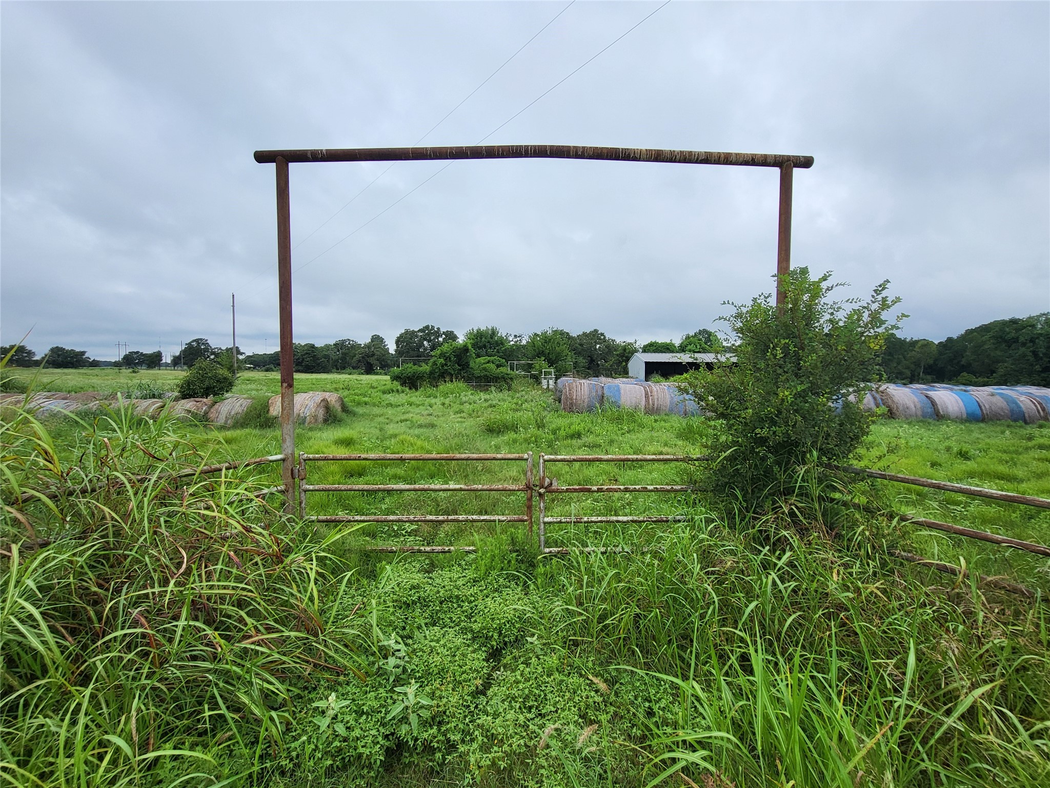 21.74 Acres Fm 937 Groesbeck TX 76642