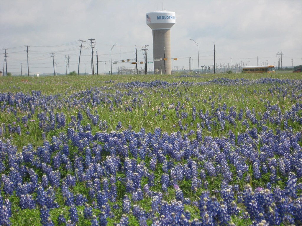 109 County Road Venus TX 76065