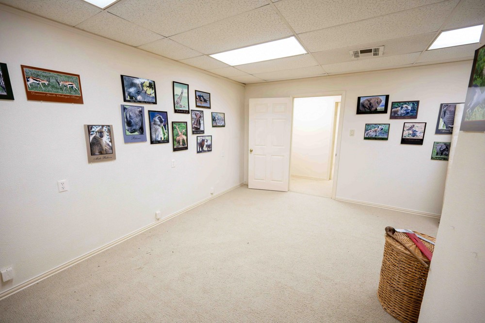 721 W Division Street Arlington TX 76012