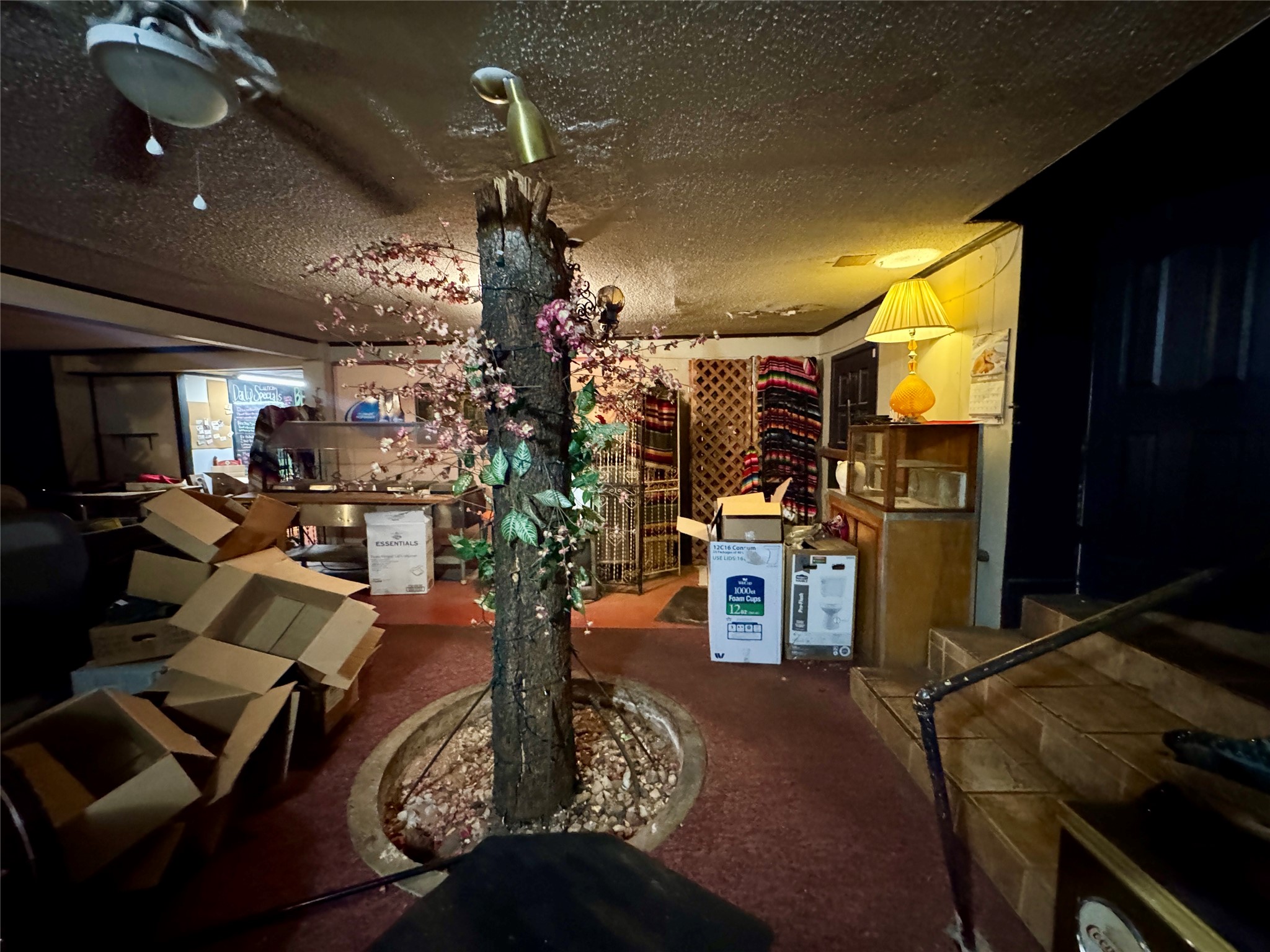209 Cottonwood Street Abilene TX 79601