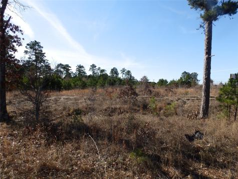 20175 S Highway 155 Lot C1 Flint TX 75762