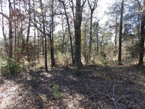 20175 S Highway 155 Lot C1 Flint TX 75762