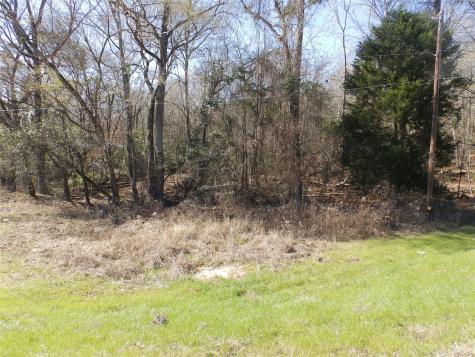 20175 S Highway 155 Lot C1 Flint TX 75762