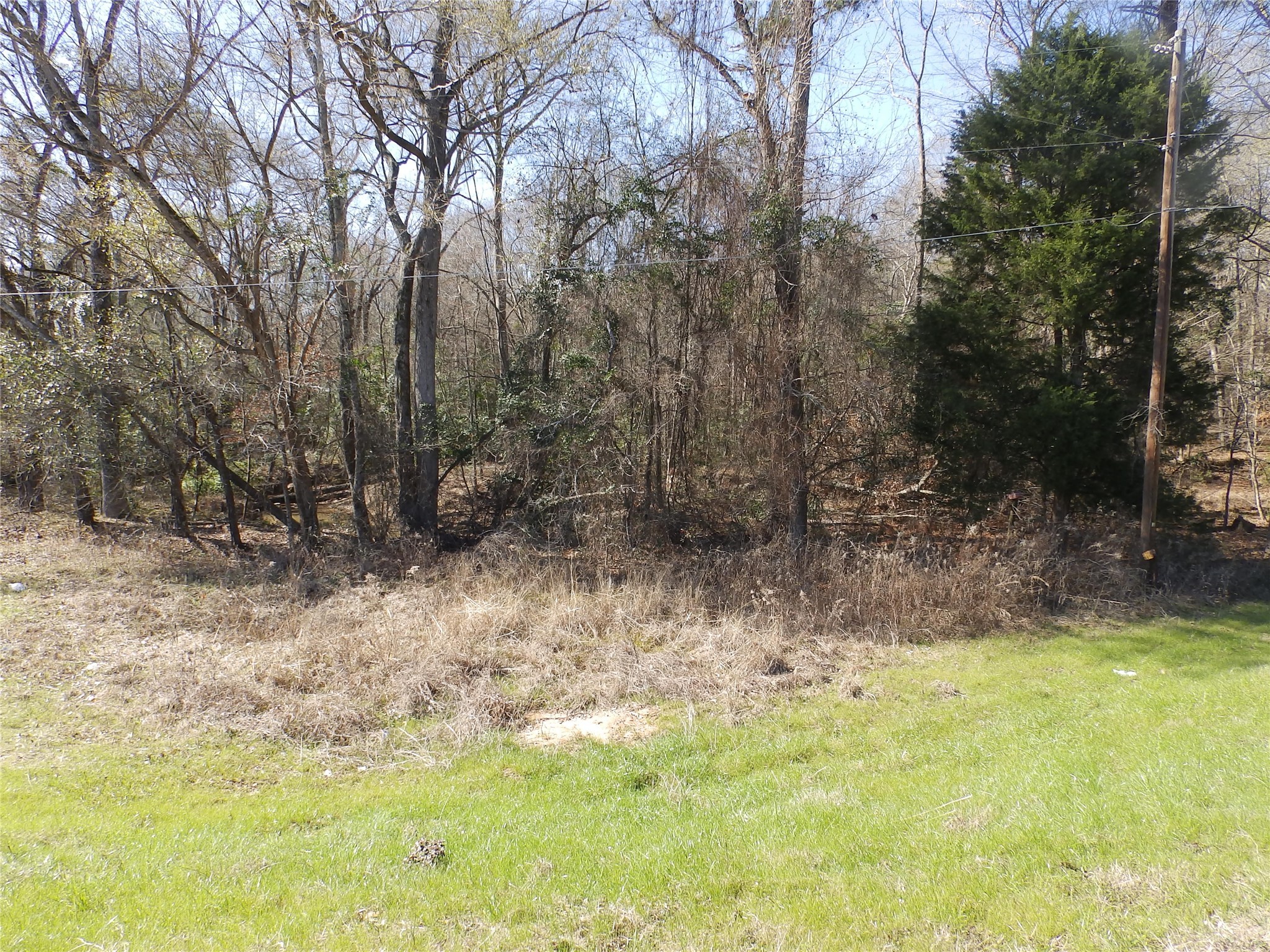 20175 S Highway 155 Lot C1 Flint TX 75762