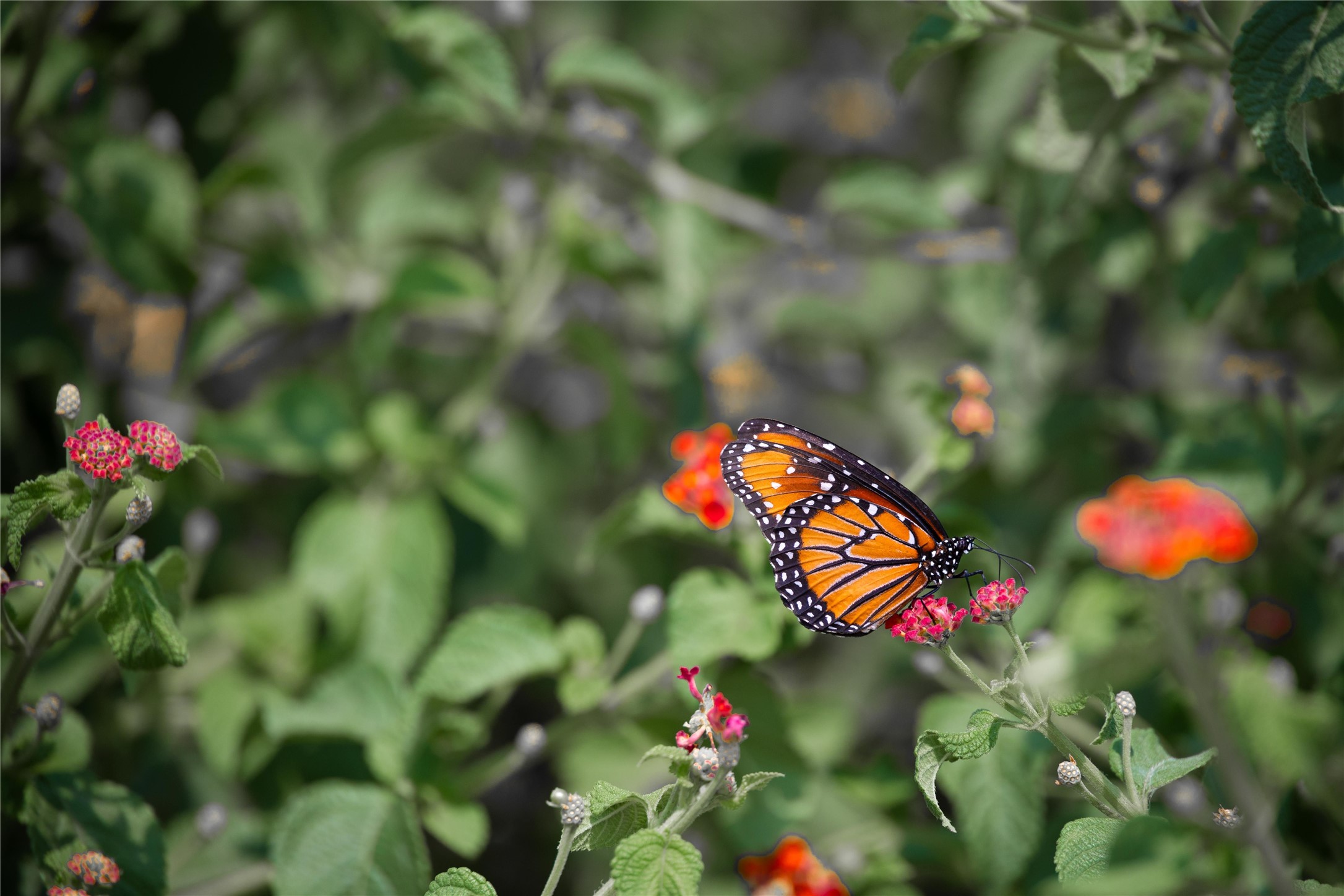 301 E Brown Street San Saba TX 76877