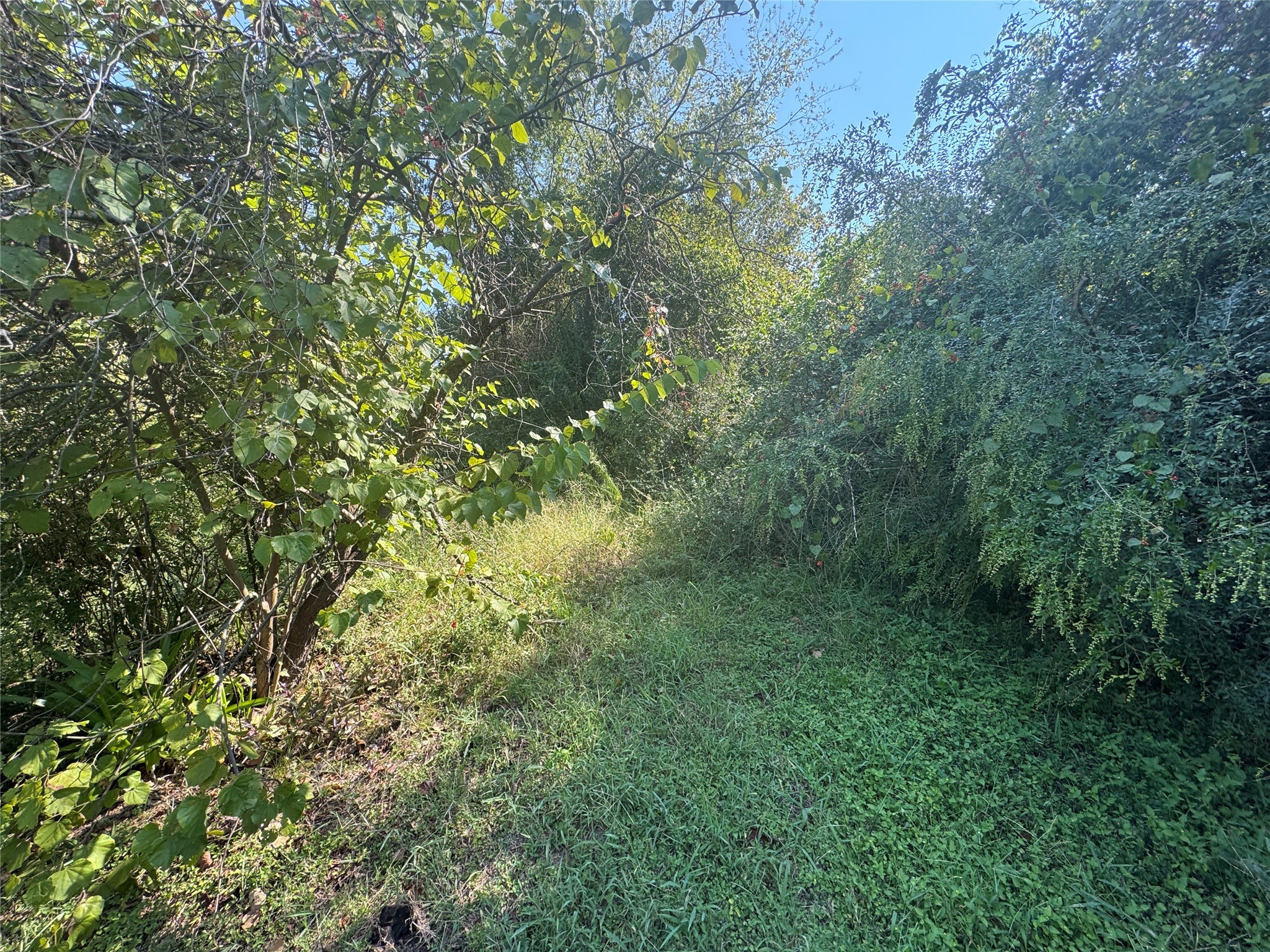 204 N Shannon Street Kaufman TX 75142