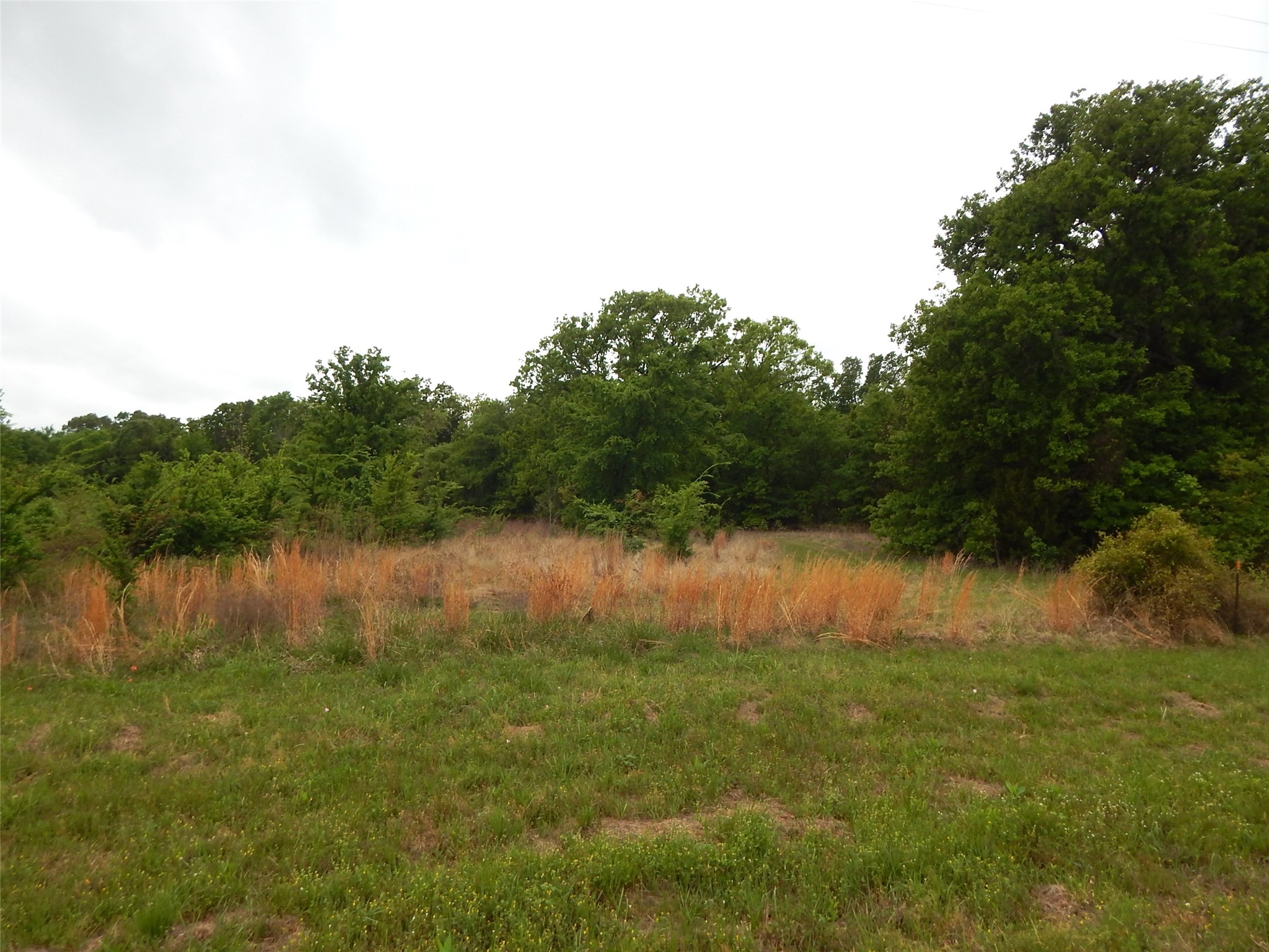 Tbd W Street Highway 154 Quitman TX 75783
