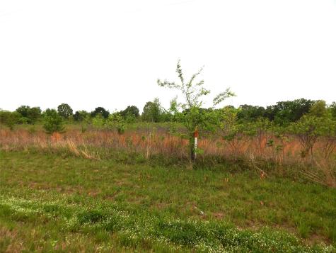 Tbd W Street Highway 154 Quitman TX 75783