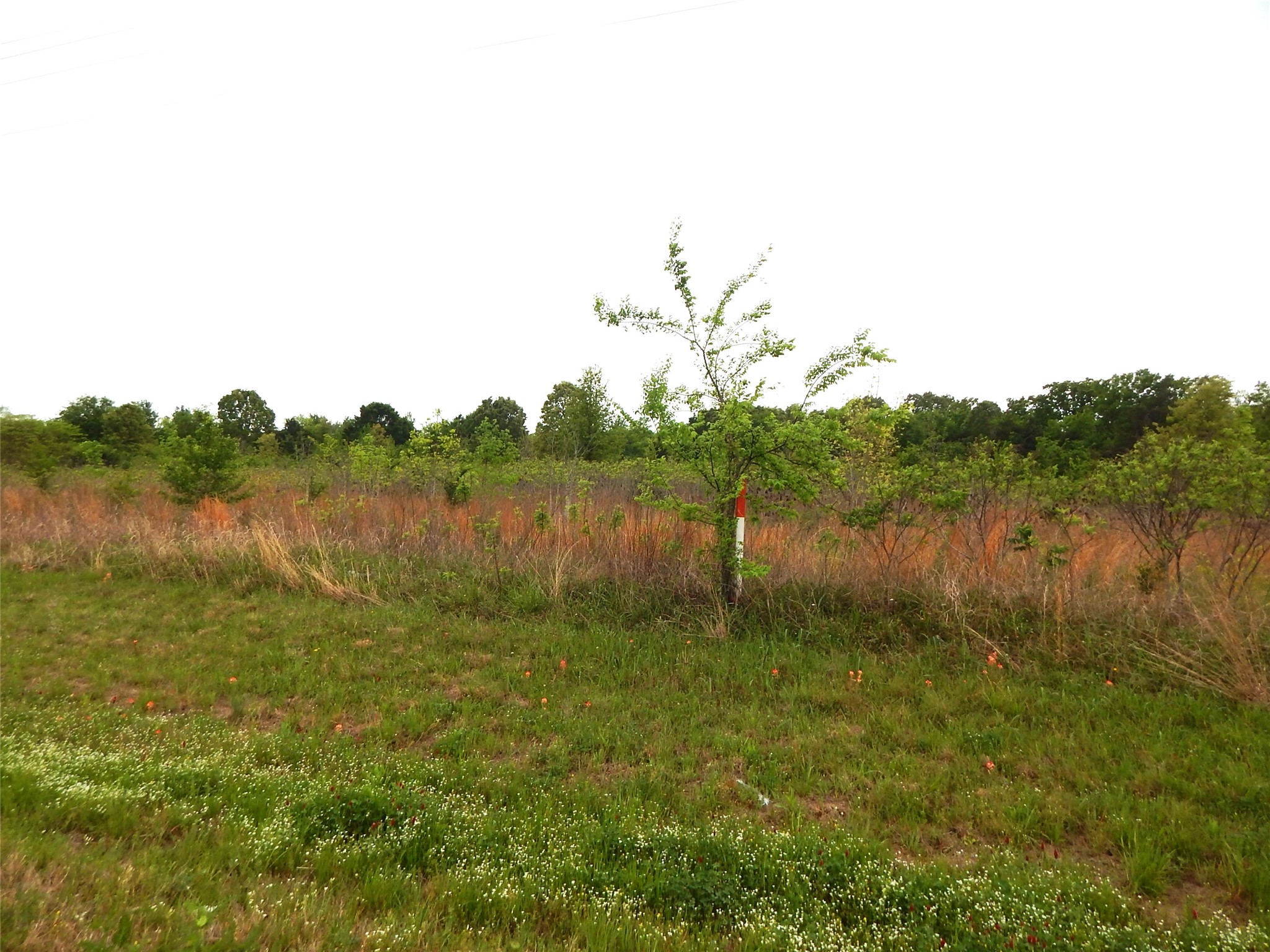 Tbd W Street Highway 154 Quitman TX 75783