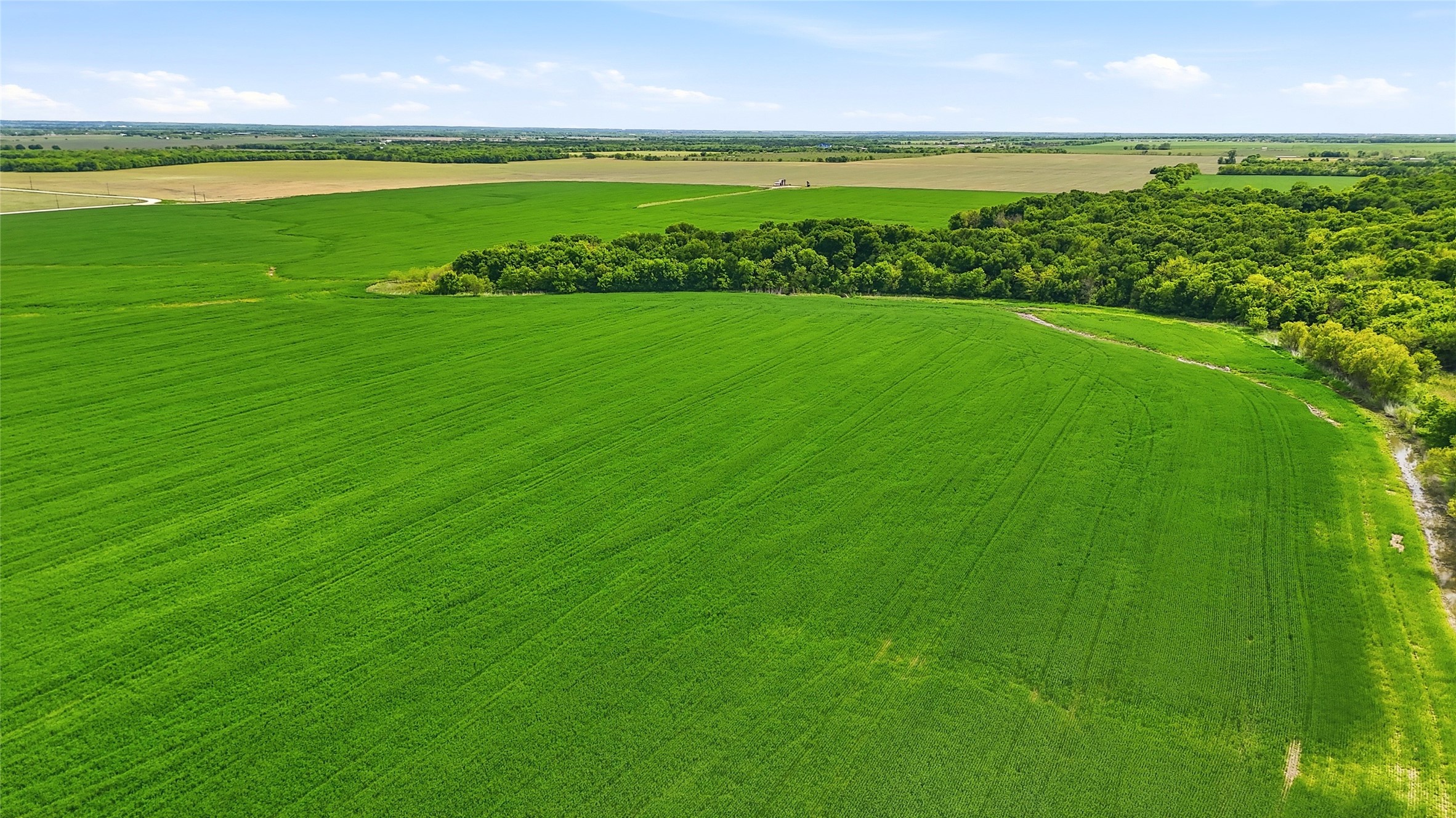 200+ Acres Davis Road Whitesboro TX 76273