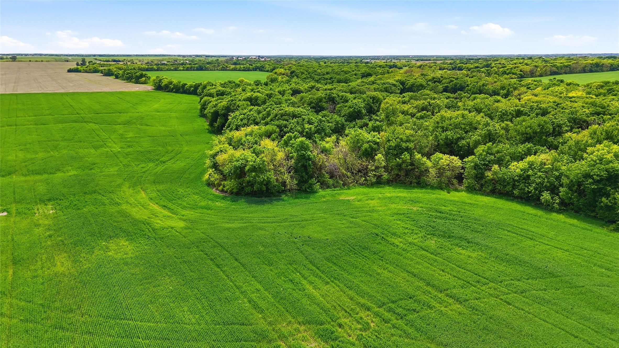 200+ Acres Davis Road Whitesboro TX 76273