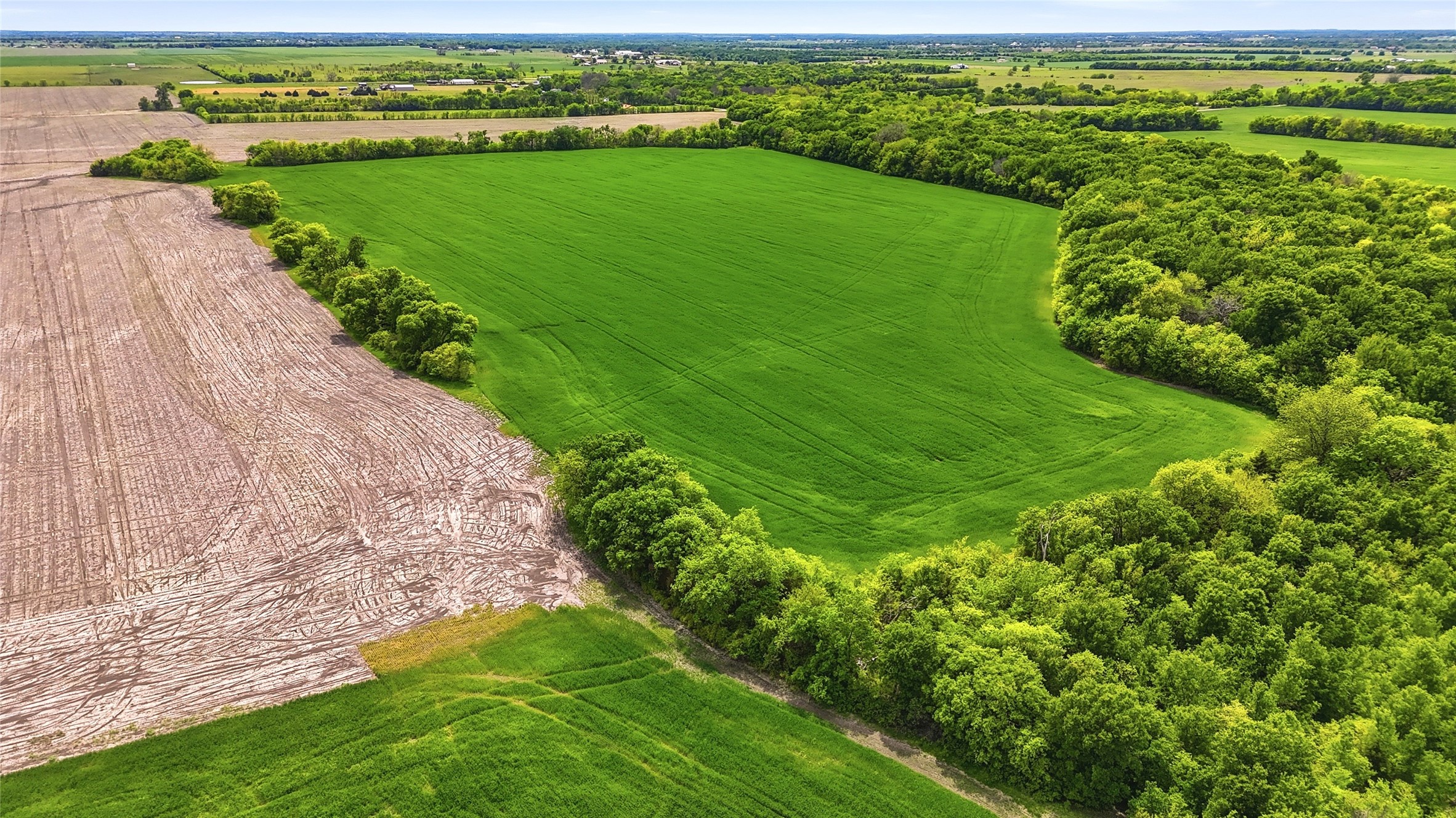 200+ Acres Davis Road Whitesboro TX 76273