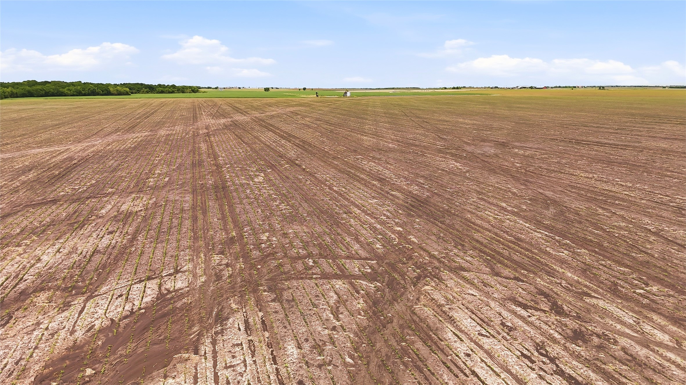 200+ Acres Davis Road Whitesboro TX 76273