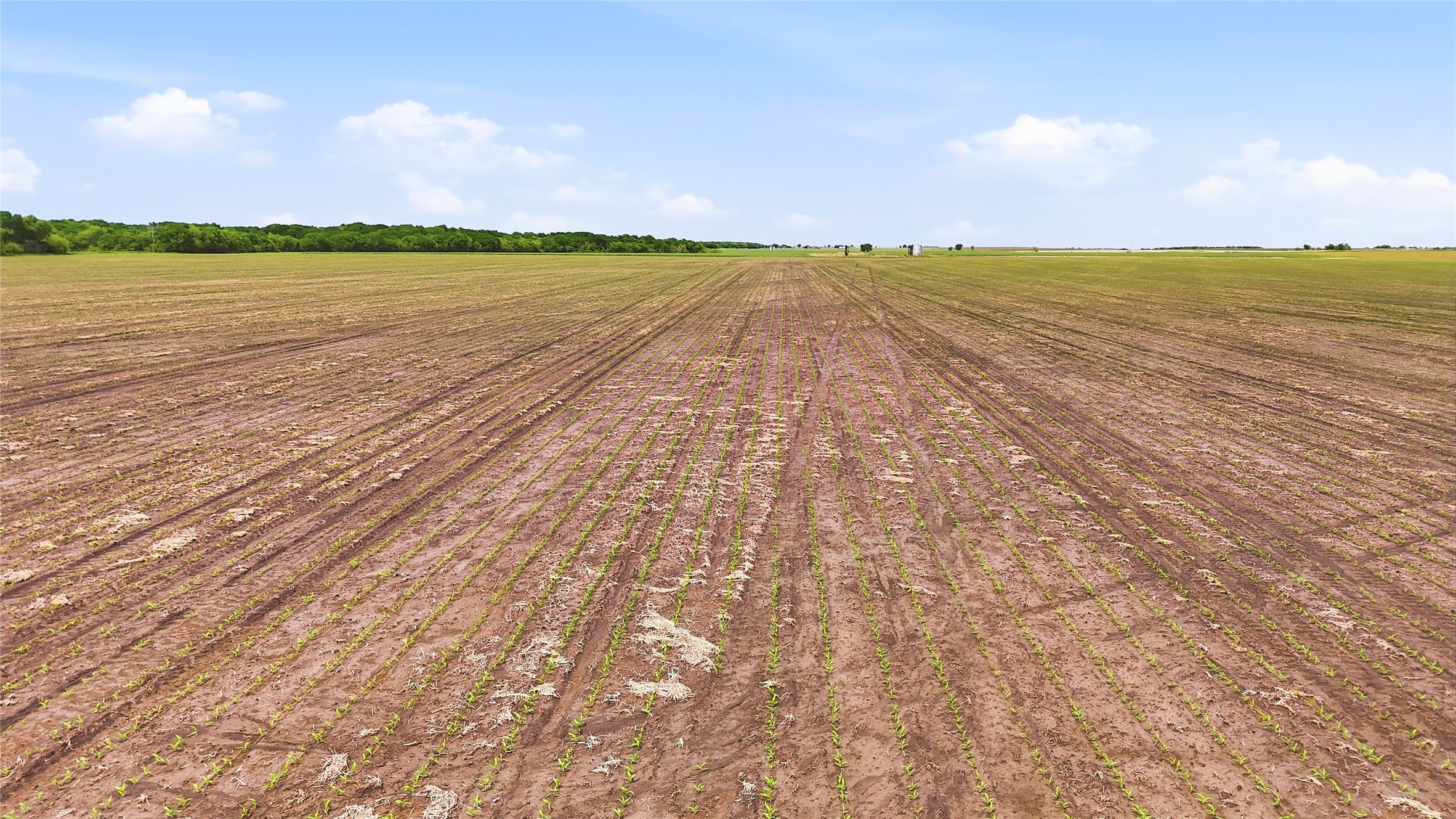 200+ Acres Davis Road Whitesboro TX 76273