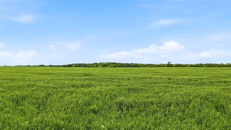 200+ Acres Davis Road Whitesboro TX 76273