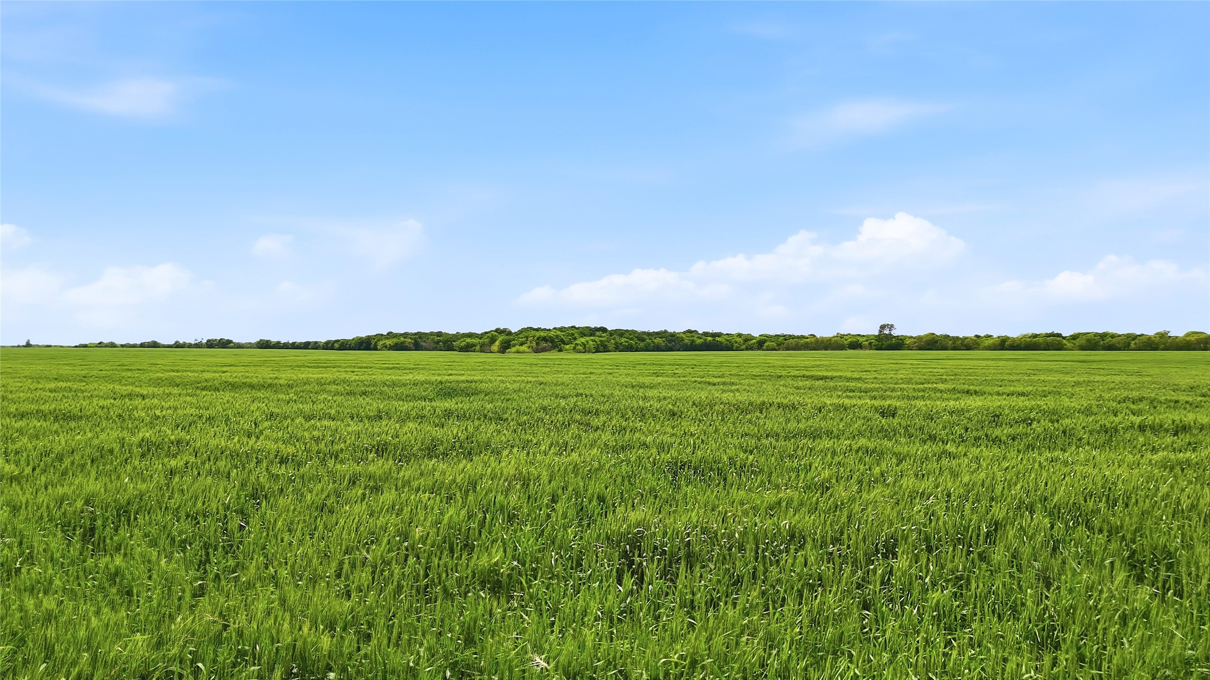 200+ Acres Davis Road Whitesboro TX 76273