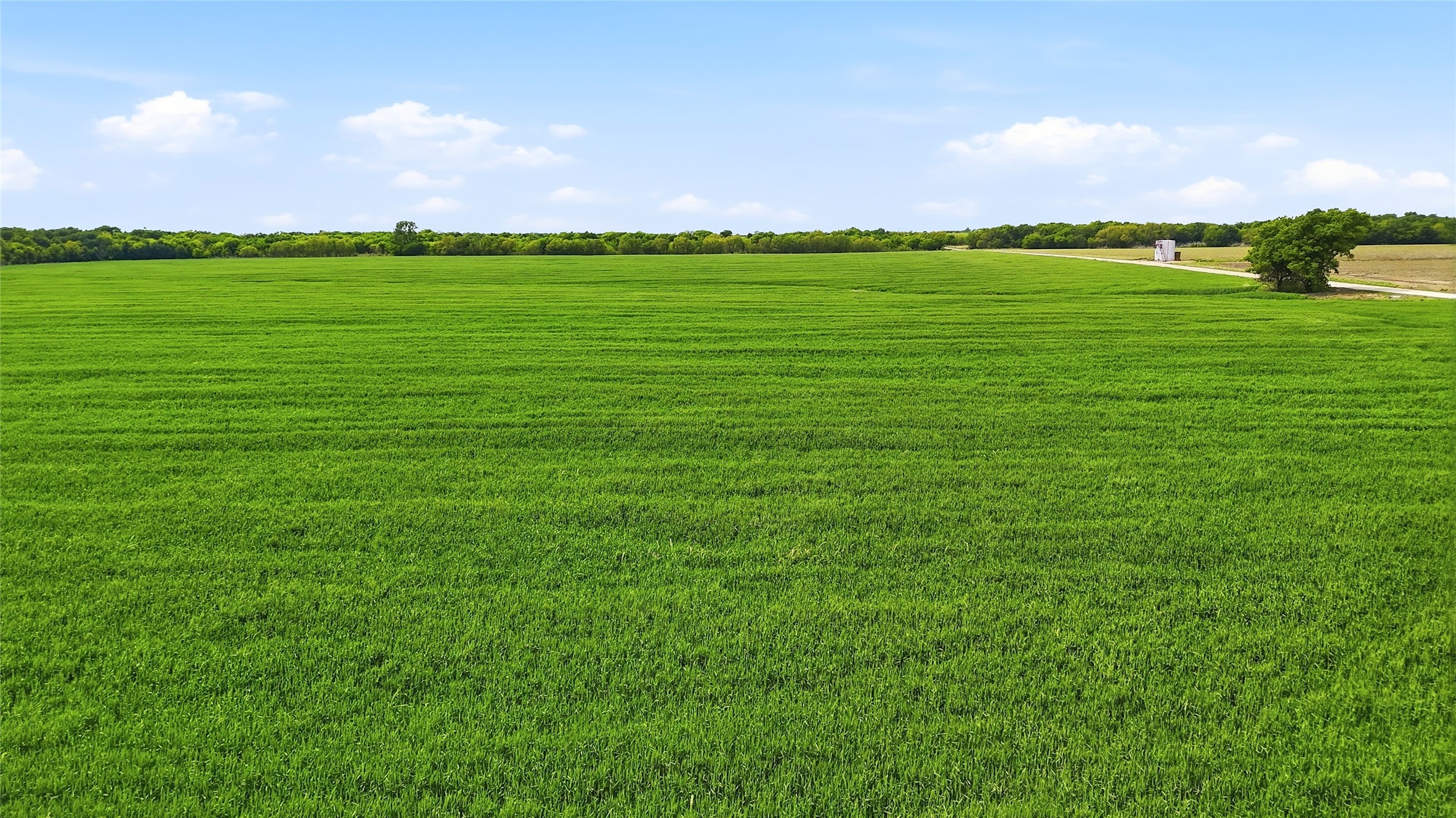 200+ Acres Davis Road Whitesboro TX 76273