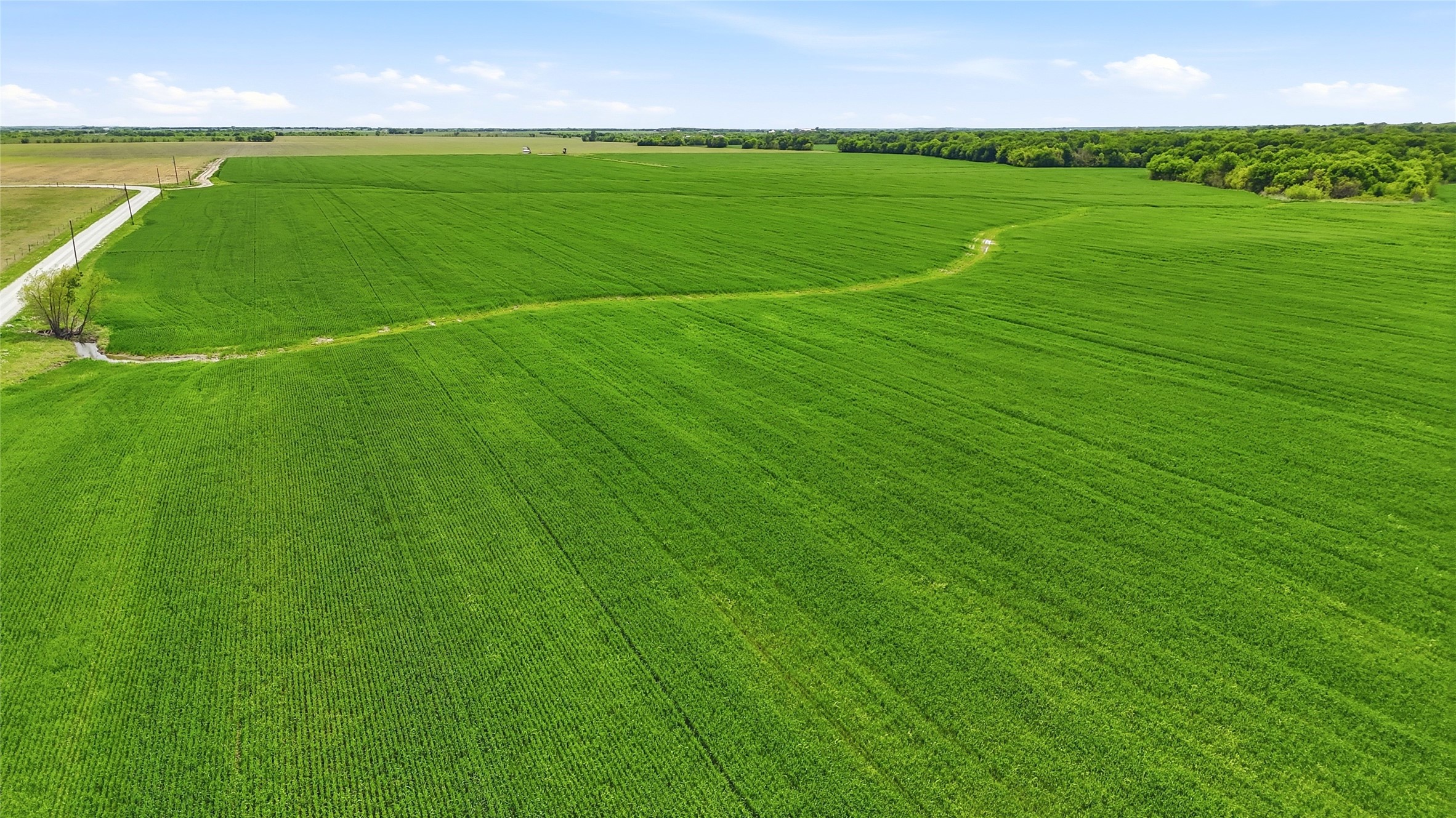 200+ Acres Davis Road Whitesboro TX 76273