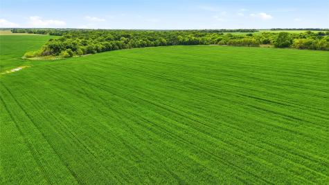 200+ Acres Davis Road Whitesboro TX 76273