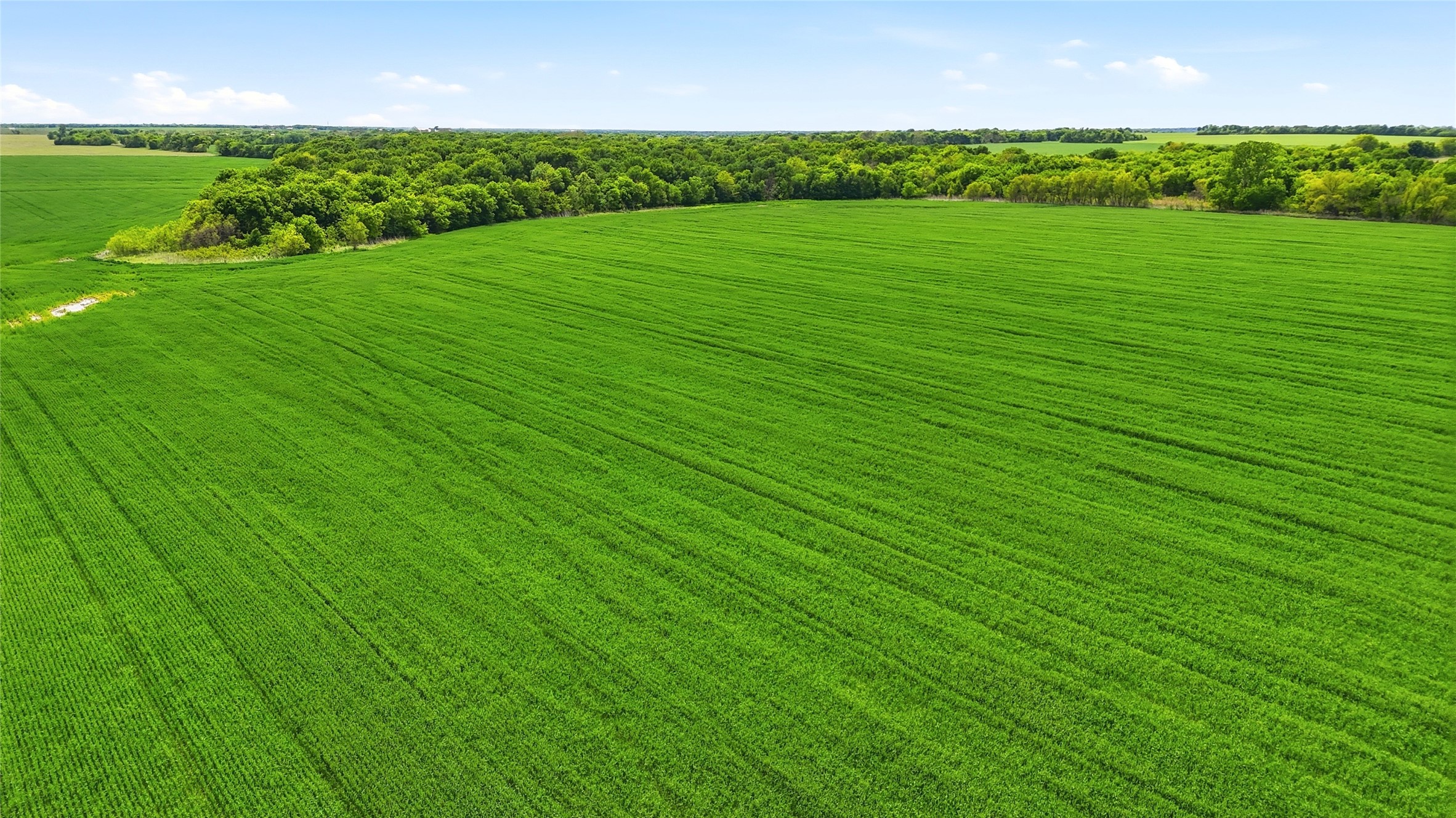 200+ Acres Davis Road Whitesboro TX 76273