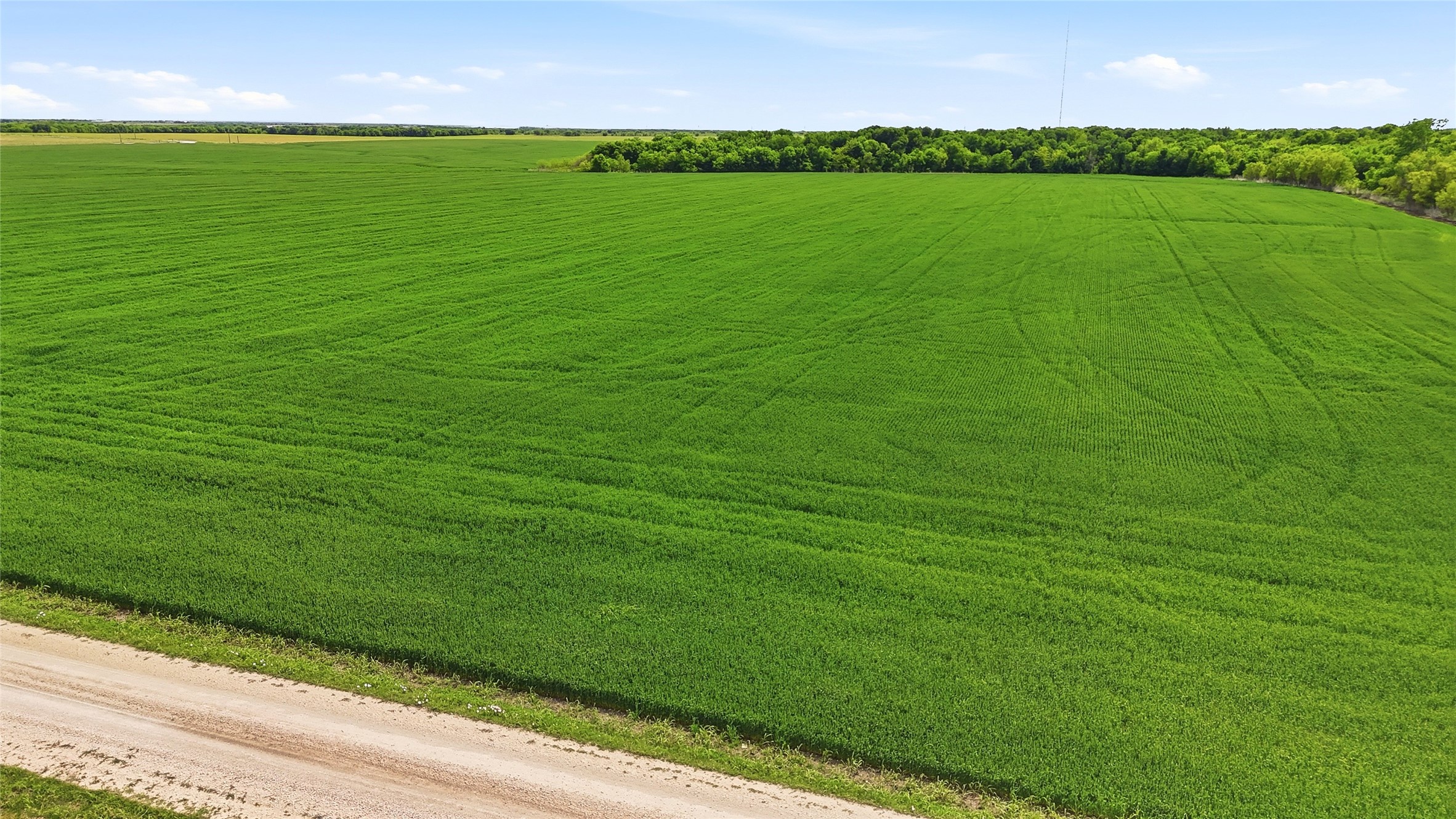 200+ Acres Davis Road Whitesboro TX 76273