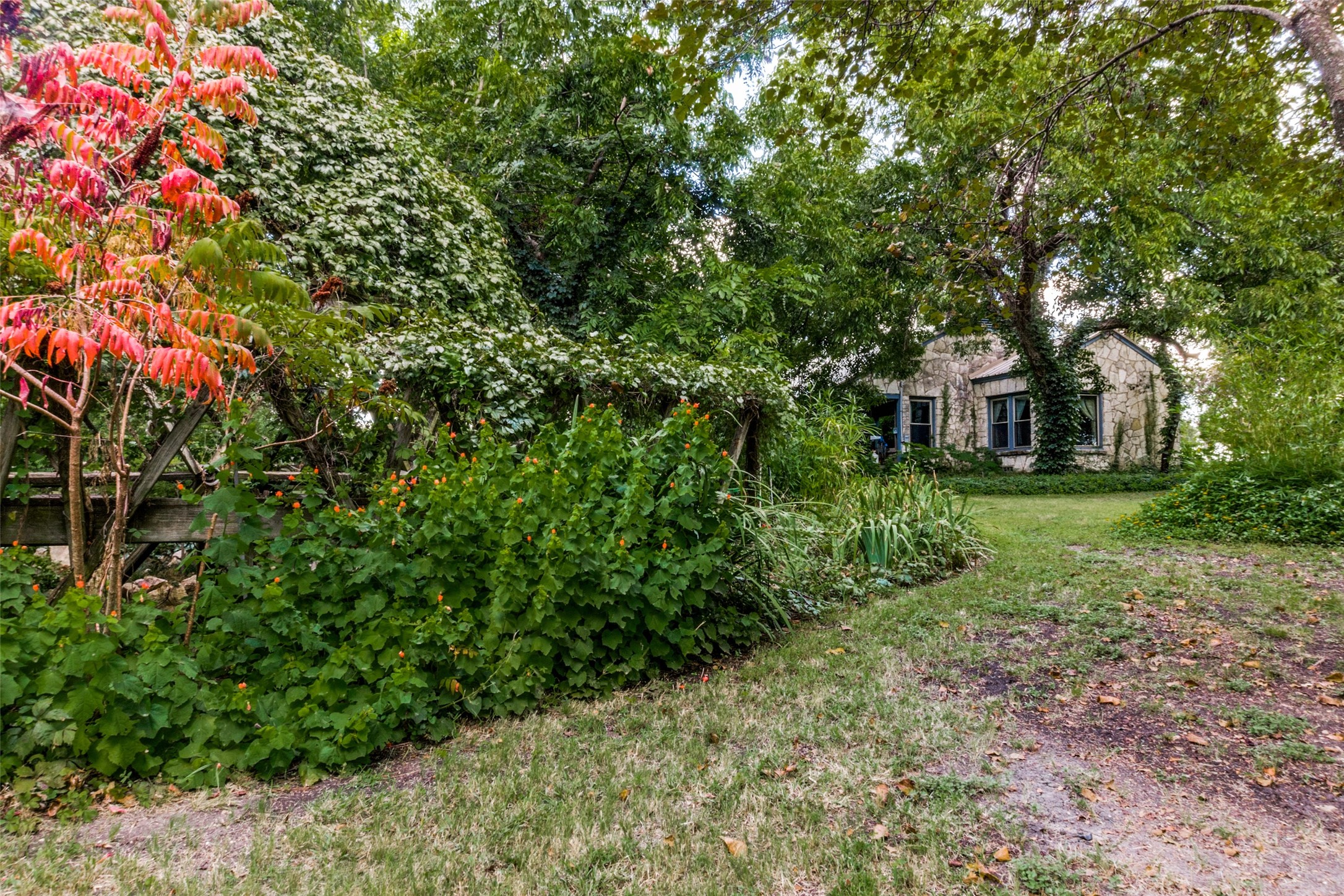 1226 E Campbell Road Garland TX 75044