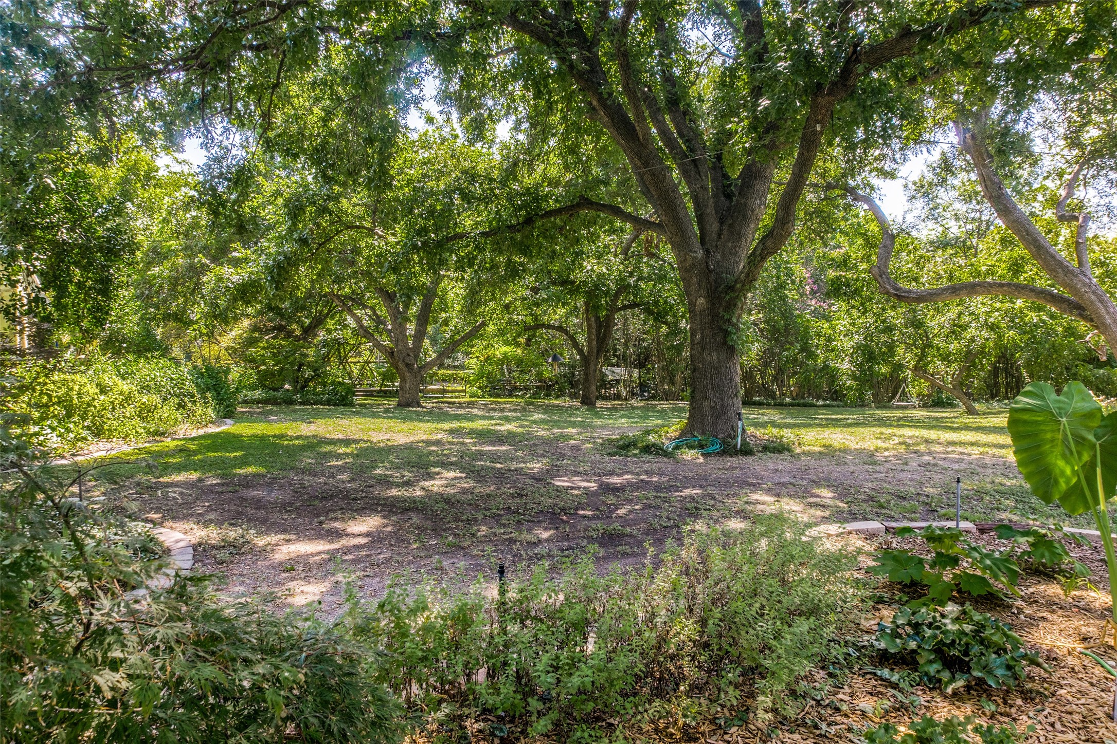 1226 E Campbell Road Garland TX 75044