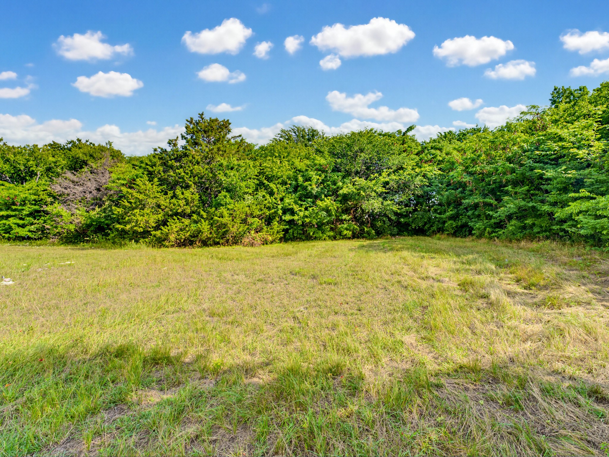 1300 S Trenchard Street Decatur TX 76234