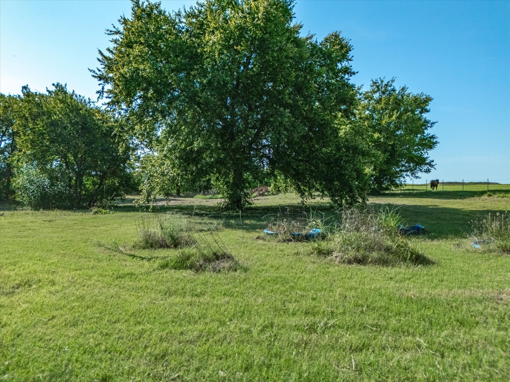 1651 Fm 66 Waxahachie TX 75167