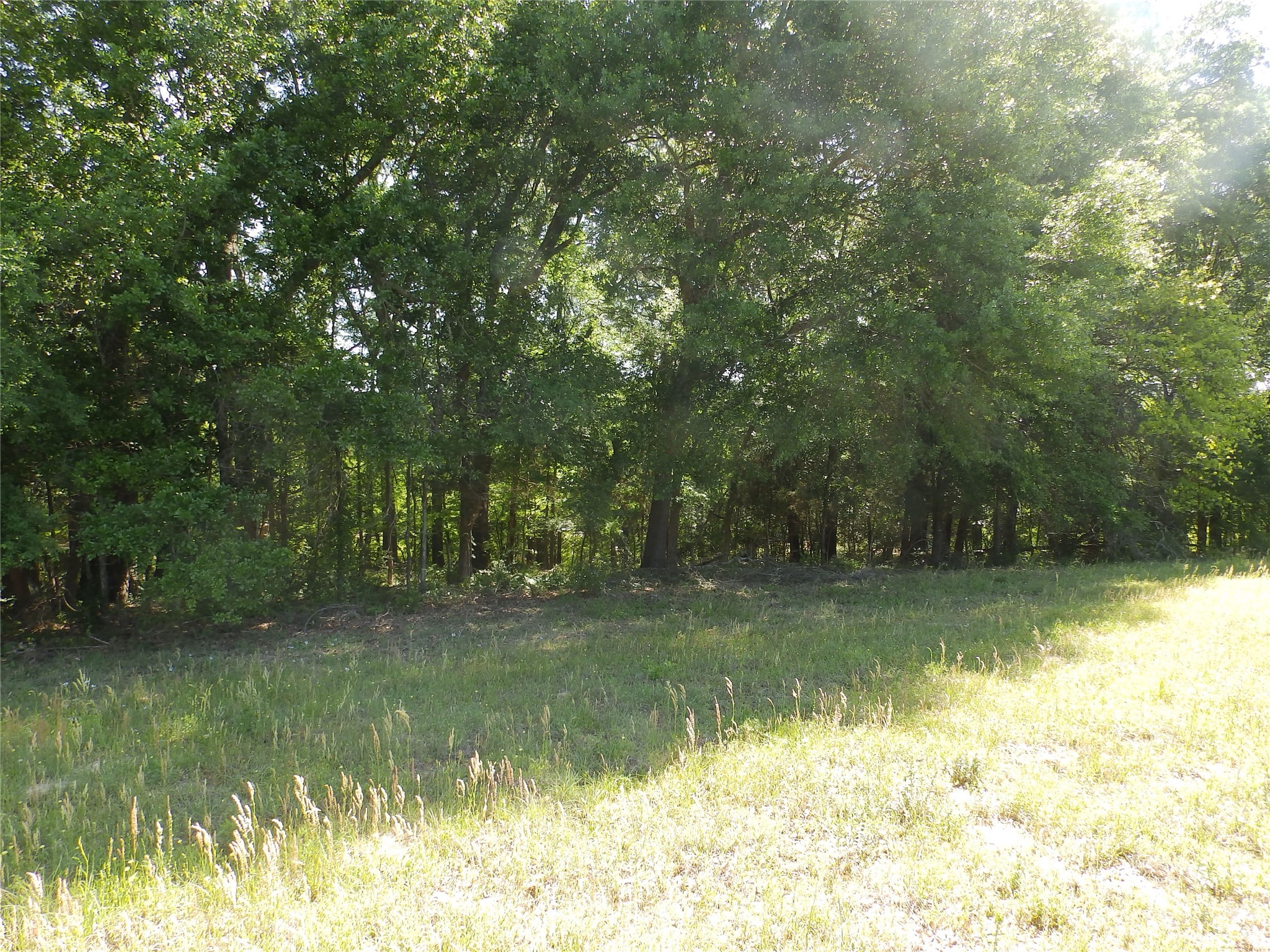 3168 Highway 175 Frankston TX 75763