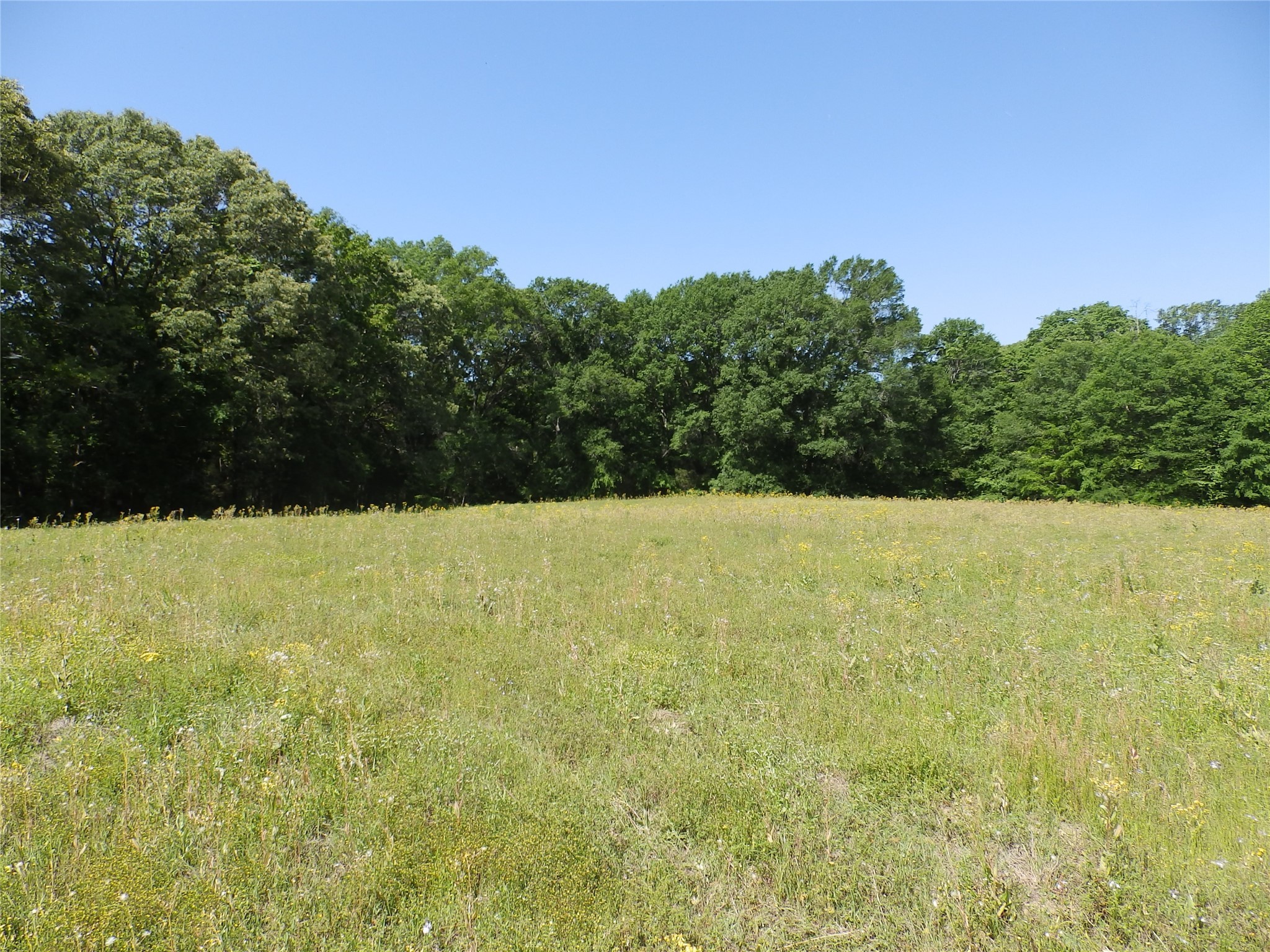 3168 Highway 175 Frankston TX 75763